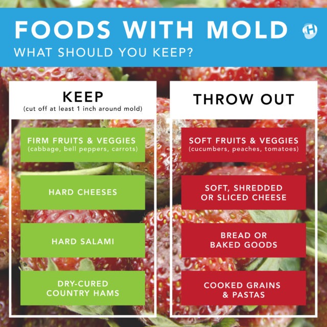 Foods That Are and Aren't Safe to Cut Mold Off and Eat: Safety Expert