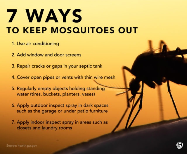 How Can You Prevent Mosquitoes From Biting You?